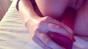 Sophias tesna ritka se razteguje z velikim analnim čepom v tem amaterskem videu