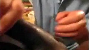 Gay interracial fait une fellation avec une grosse bite qui éjacule